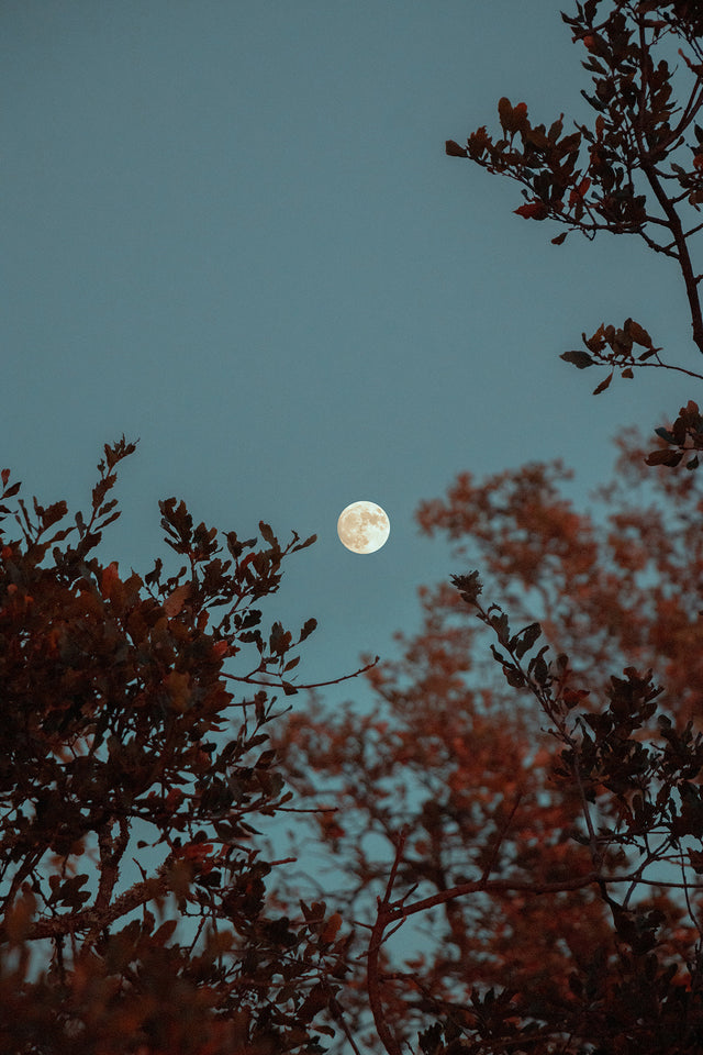 Die Mondin auf einen Blick - der SOULBATH Mondkalender 2023 als Download